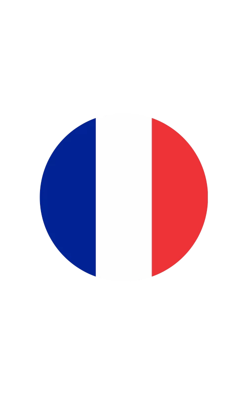 Лидер на французском рынке banner image